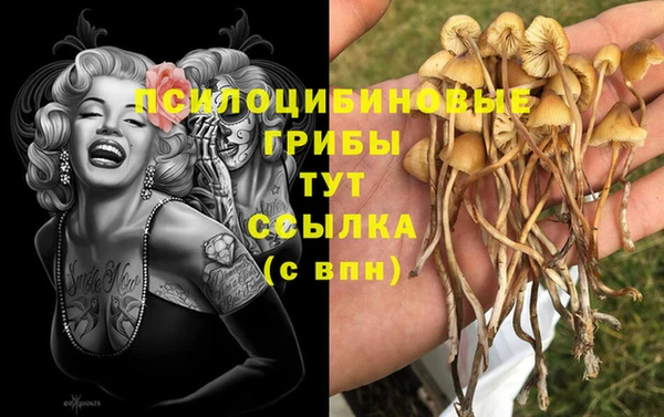 герыч Абаза