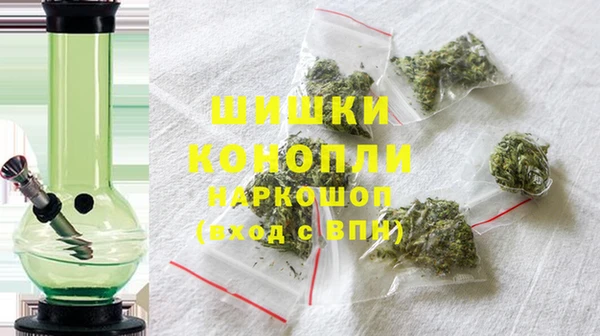 винт Гусь-Хрустальный