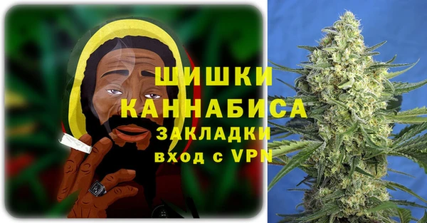 сатива Зерноград