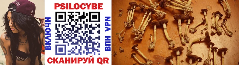 Галлюциногенные грибы Cubensis Азов