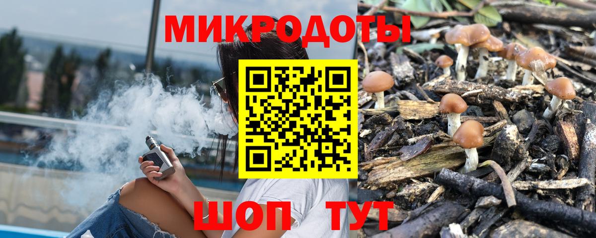 Псилоцибиновые грибы MAGIC MUSHROOMS  магазин    Вход с VPN  Азов  Псилоцибиновые грибы мицелий 