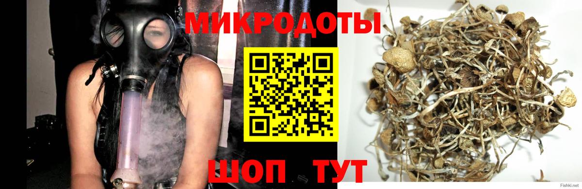 Галлюциногенные грибы GOLDEN TEACHER Азов
